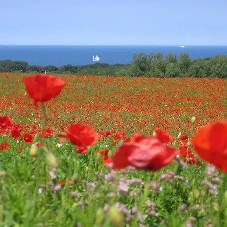 Holiday home Zur Alten Backerei Rugen *
